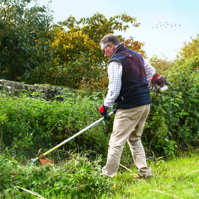 Cobra BC260C Brushcutter-3124