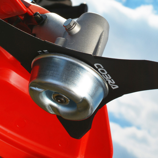 Cobra BC260C Brushcutter-3126