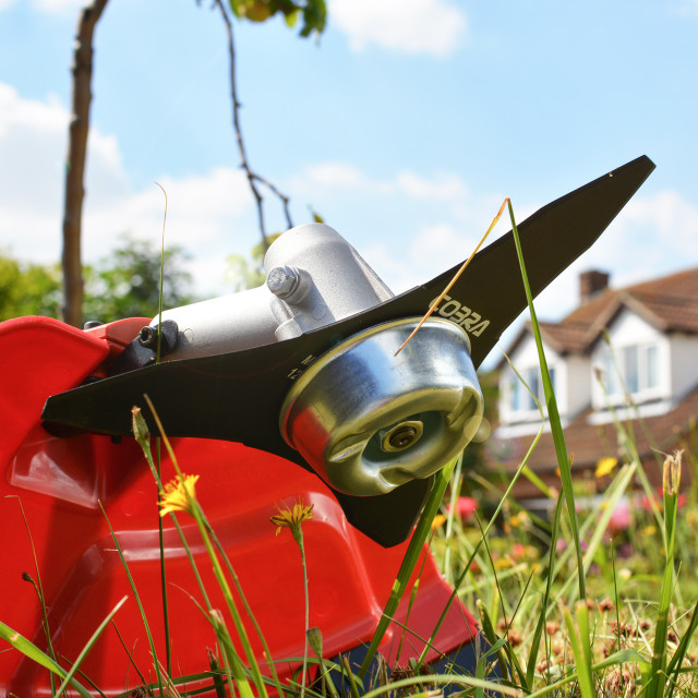 Cobra BC330C Brushcutter-3155