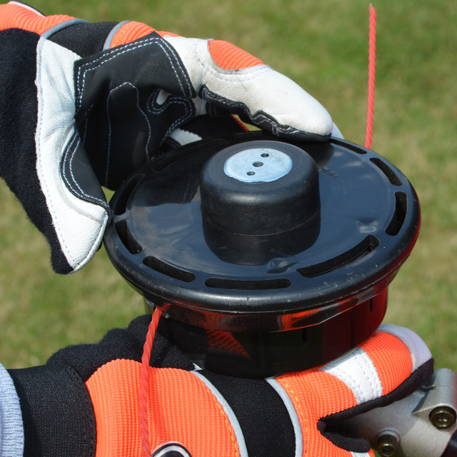 Cobra BC330C Brushcutter-3154