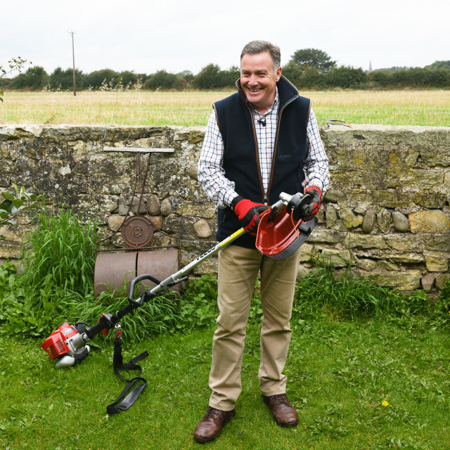 Cobra BC330C Brushcutter-3160